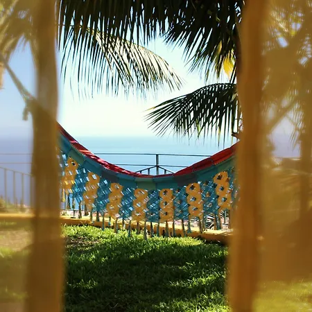 Funcho - House With Fantastic Bay And Ocean Views * Funchal (Madeira)